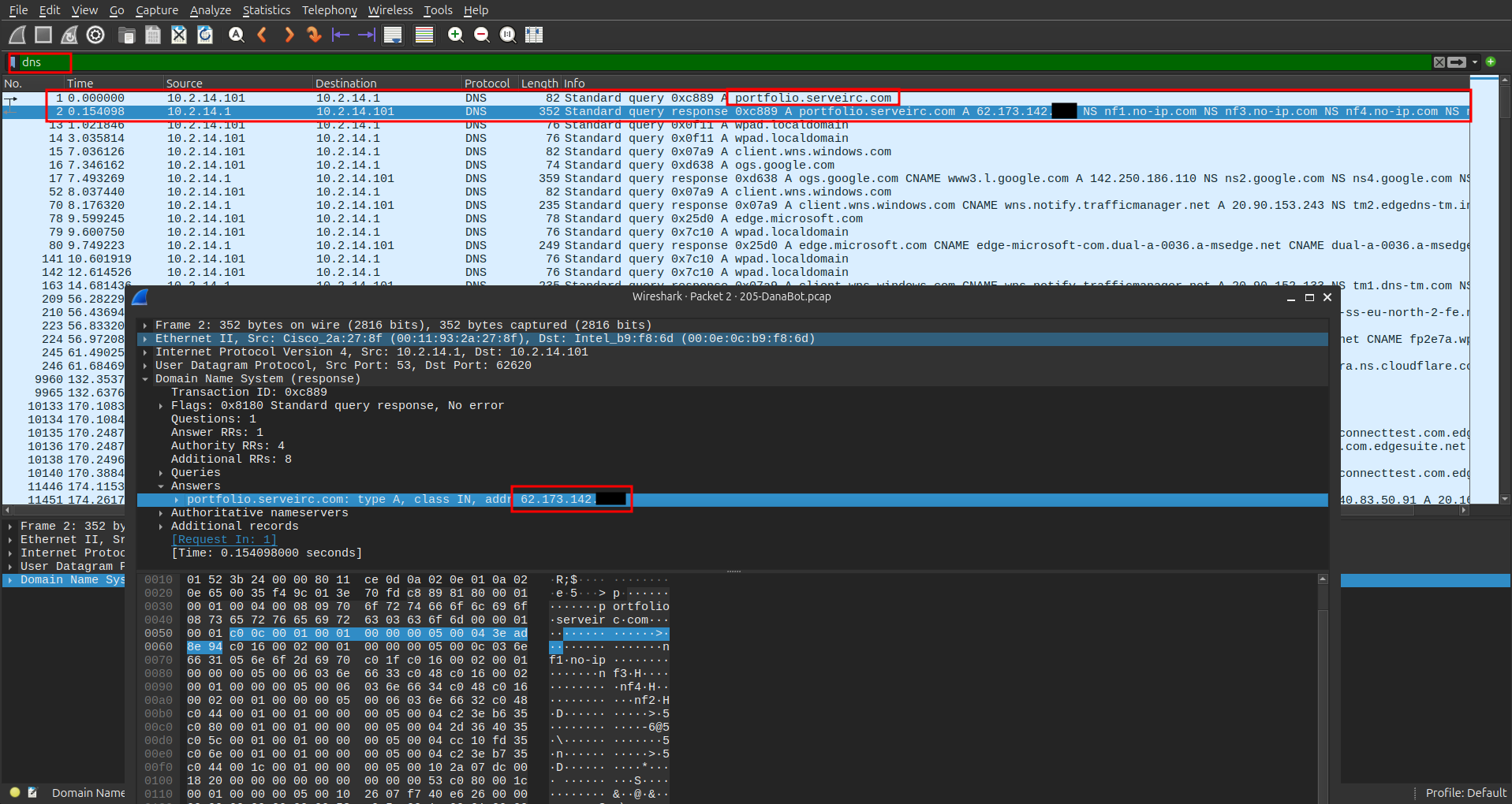 DNS traffic analysis showing suspicious domain queries
